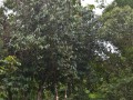 Tn DSC 3964